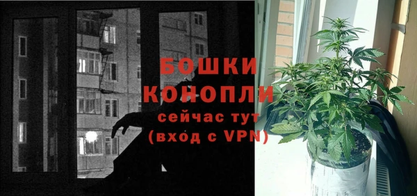PSILOCYBIN Верея