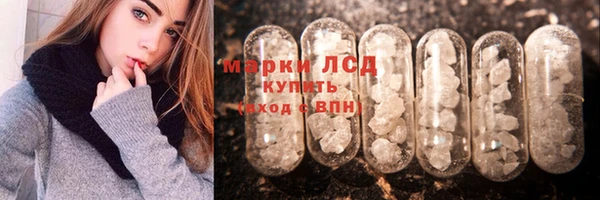 PSILOCYBIN Верея