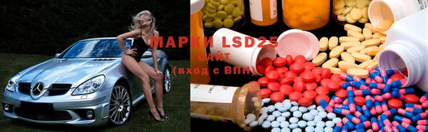 PSILOCYBIN Верея