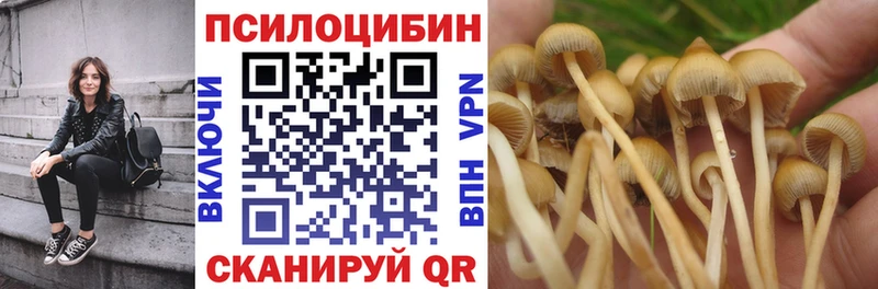 Псилоцибиновые грибы прущие грибы как найти наркотики Норильск